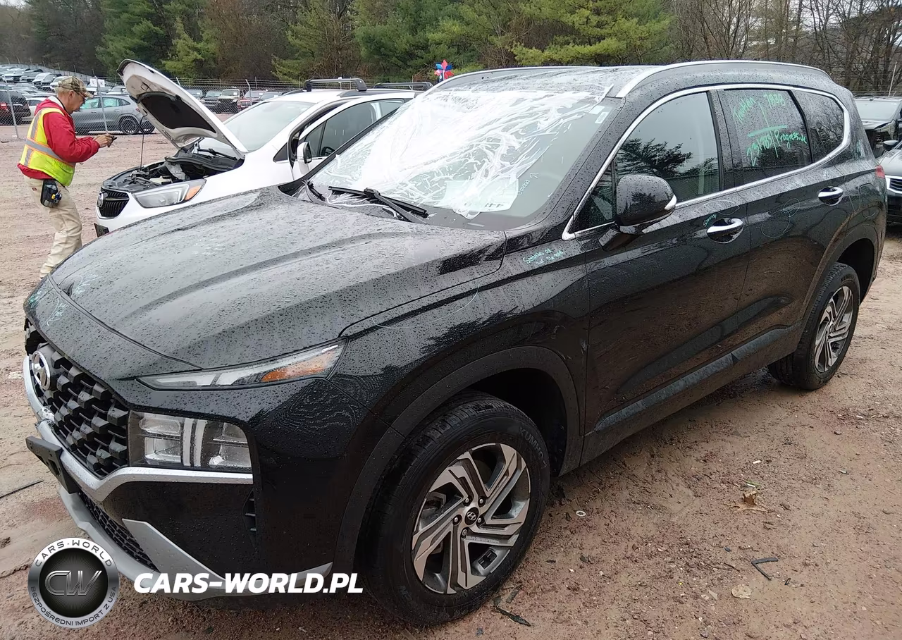 2023 Hyundai Santa Fe Sel VIN:5NMS2DAJ8PH578259 - 2