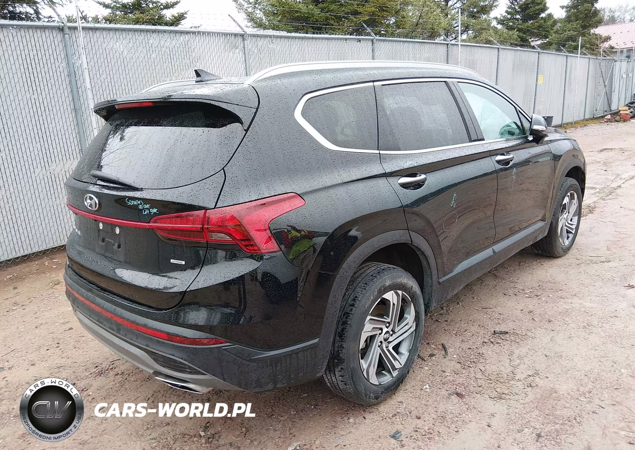2023 Hyundai Santa Fe Sel VIN:5NMS2DAJ8PH578259 - 4