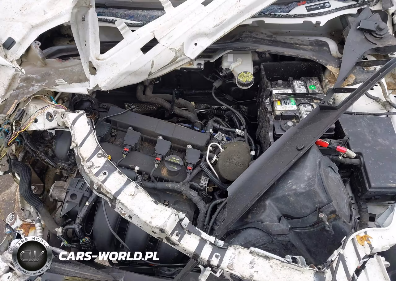 2014 Ford Focus Se VIN:1FADP3F29EL162874 - 10