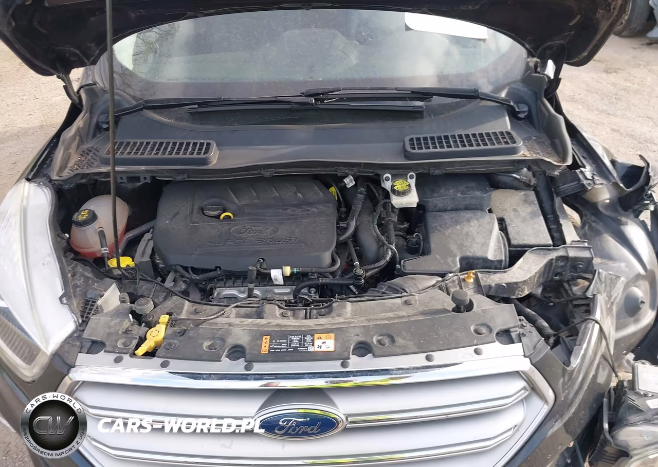 2017 Ford Escape Se VIN:1FMCU0GD1HUB77389 - 10