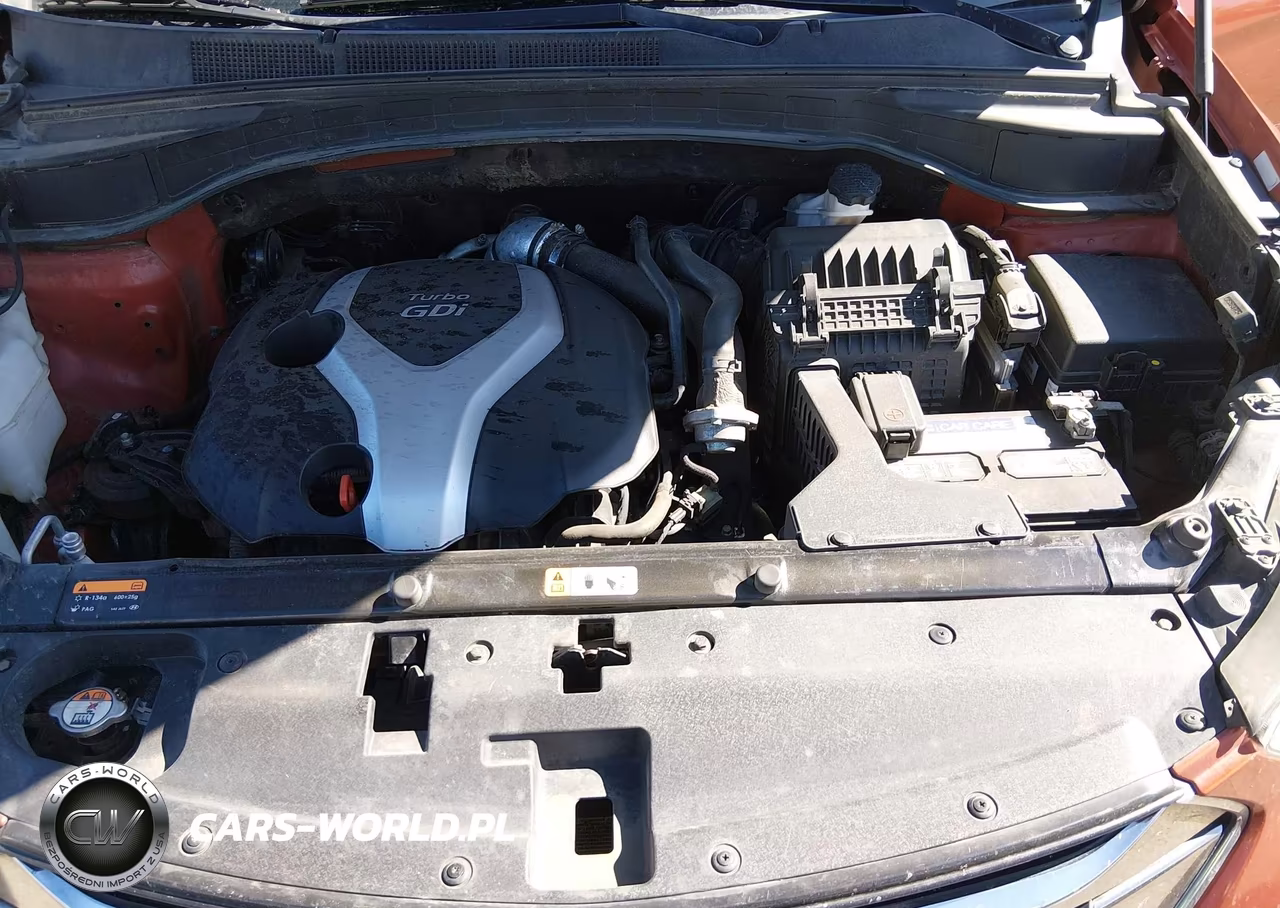 2014 Hyundai Santa Fe Sport 2.0L Turbo VIN:5XYZWDLA8EG139795 - 10