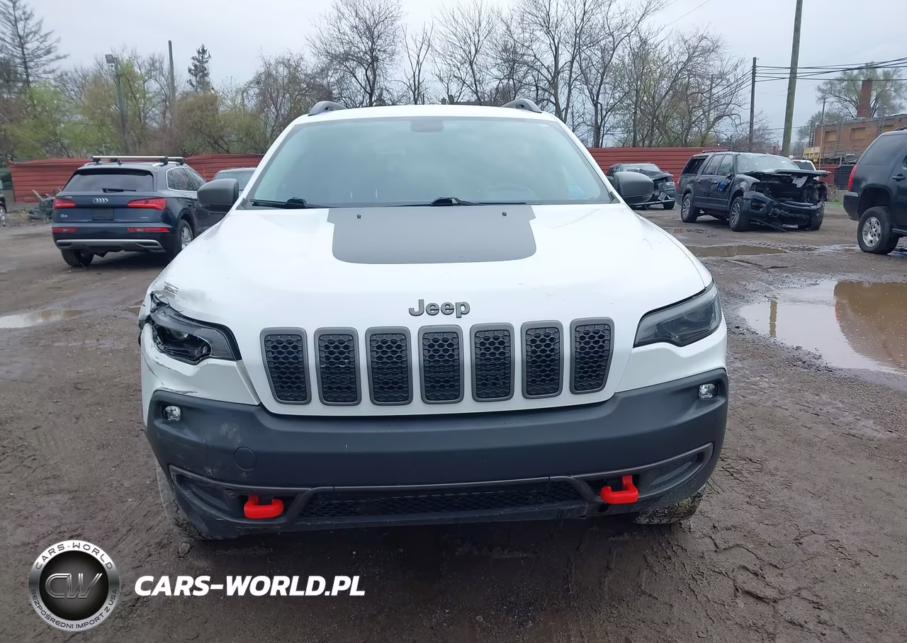2019 Jeep Cherokee Trailhawk 4X4 VIN:1C4PJMBX2KD390995 - 12