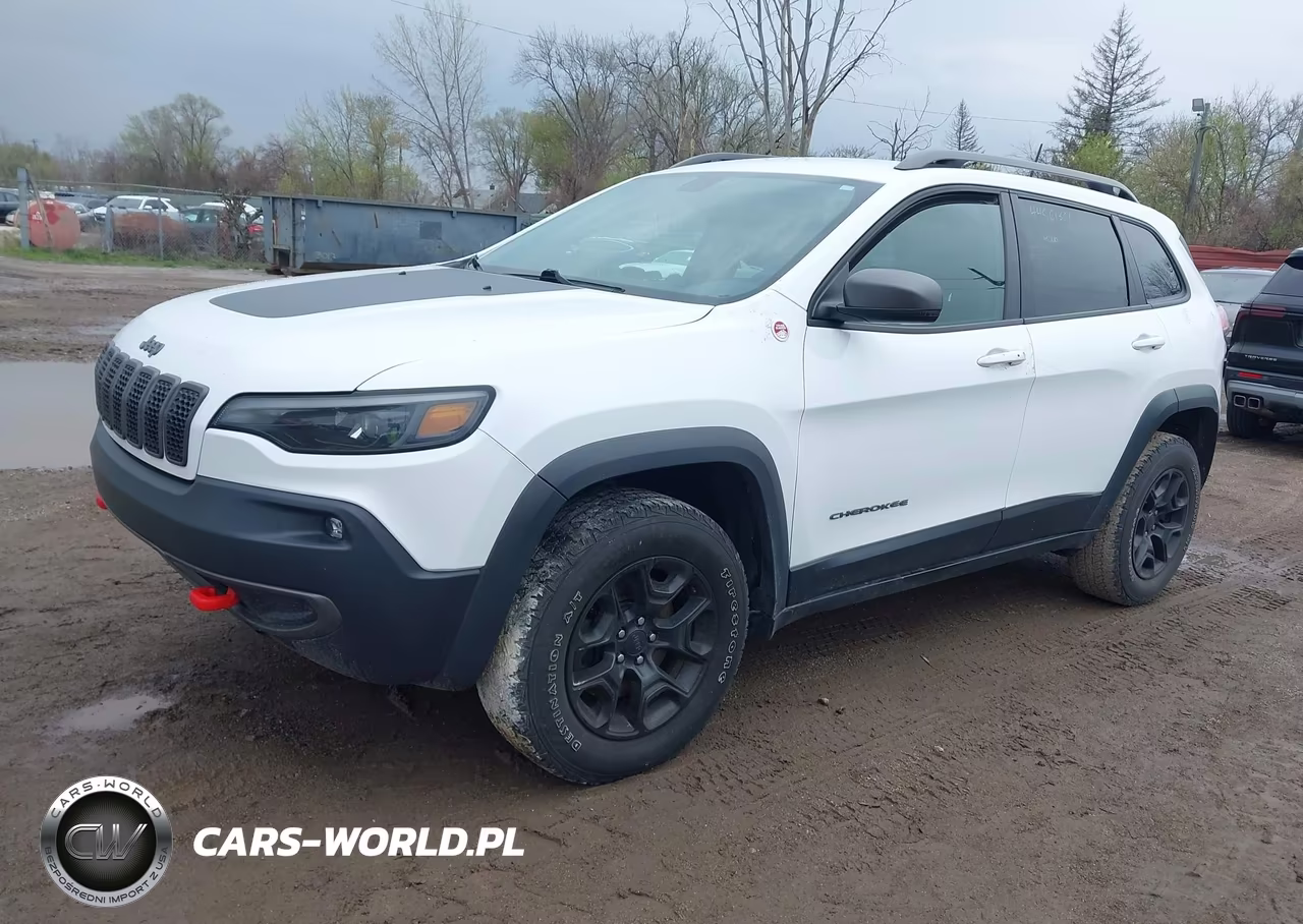 2019 Jeep Cherokee Trailhawk 4X4 VIN:1C4PJMBX2KD390995 - 2