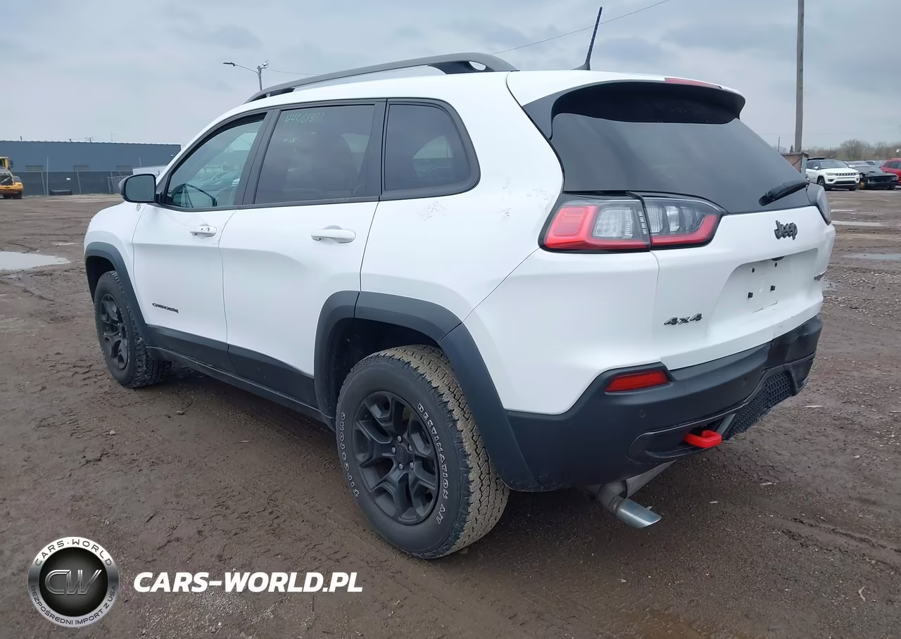 2019 Jeep Cherokee Trailhawk 4X4 VIN:1C4PJMBX2KD390995 - 3