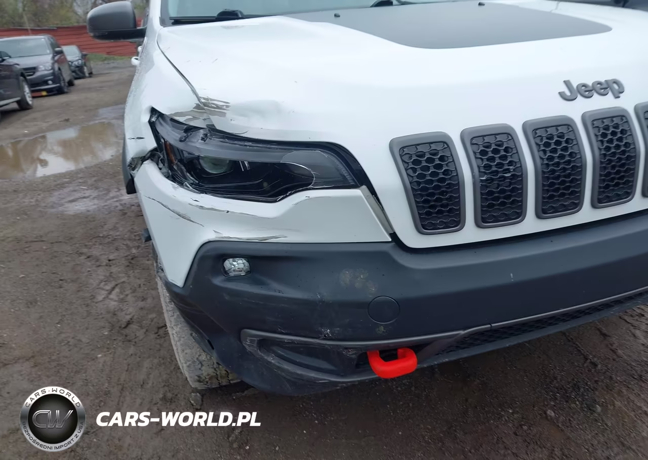 2019 Jeep Cherokee Trailhawk 4X4 VIN:1C4PJMBX2KD390995 - 6