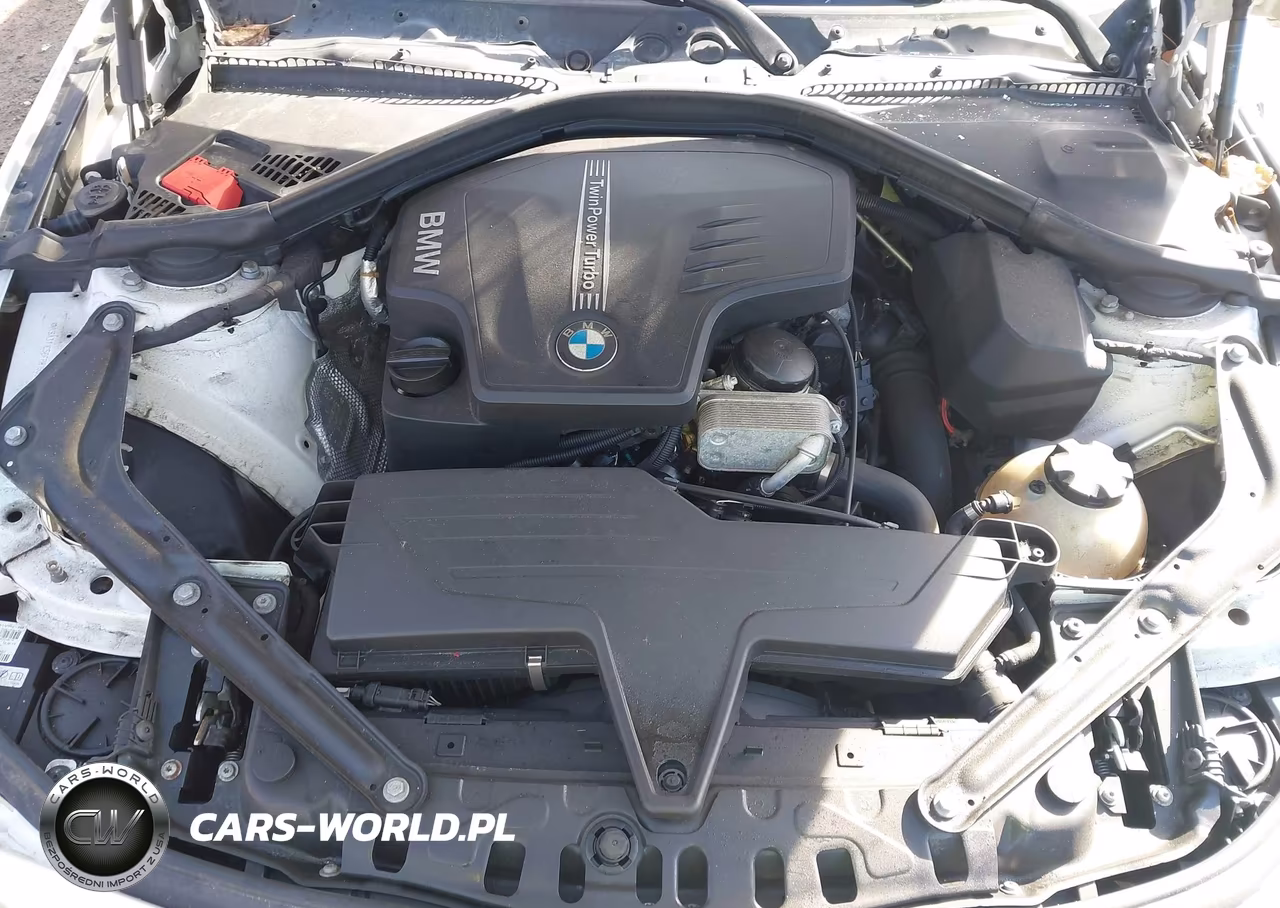 2015 BMW 428I xDrive VIN:WBA3T1C56FP819805 - 10