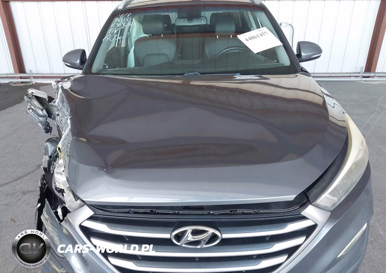 2018 Hyundai Tucson Sel Plus VIN:KM8J33A44JU641298 - 10