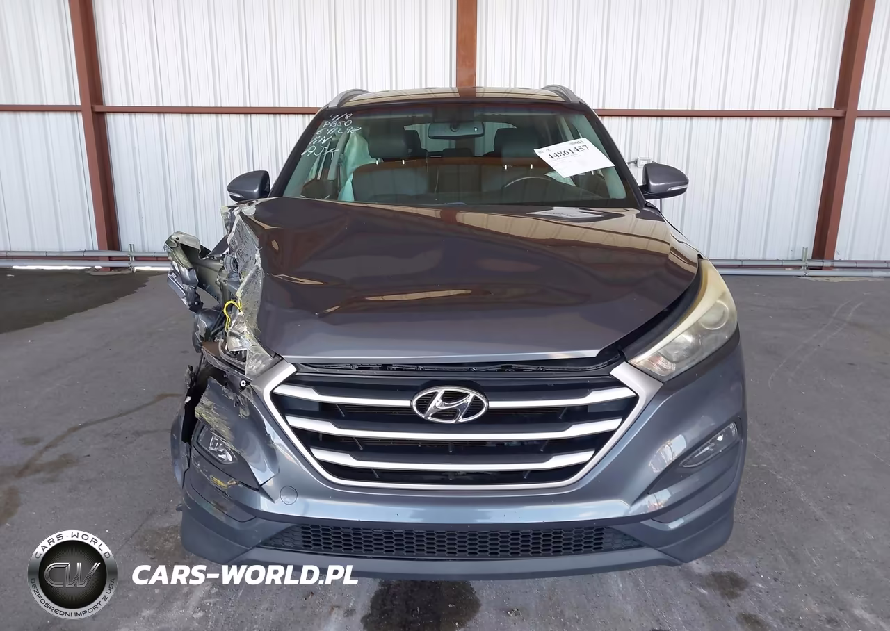 2018 Hyundai Tucson Sel Plus VIN:KM8J33A44JU641298 - 12