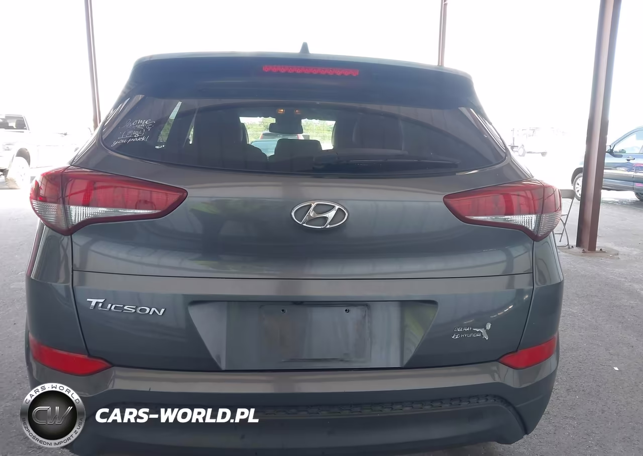 2018 Hyundai Tucson Sel Plus VIN:KM8J33A44JU641298 - 16