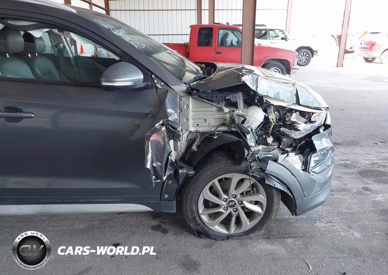 2018 Hyundai Tucson Sel Plus VIN:KM8J33A44JU641298 - 17