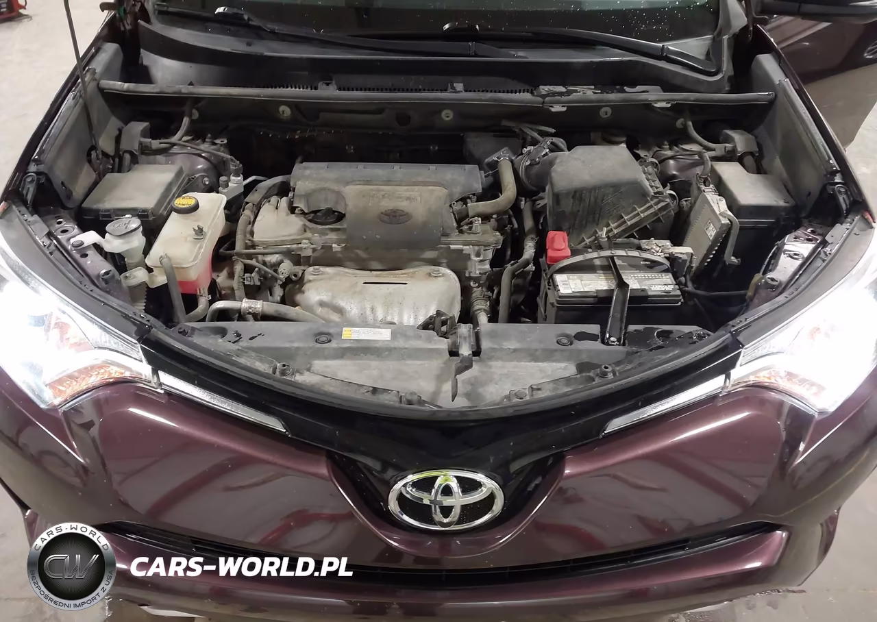 2016 Toyota Rav4 Xle VIN:2T3WFREV0GW290991 - 10