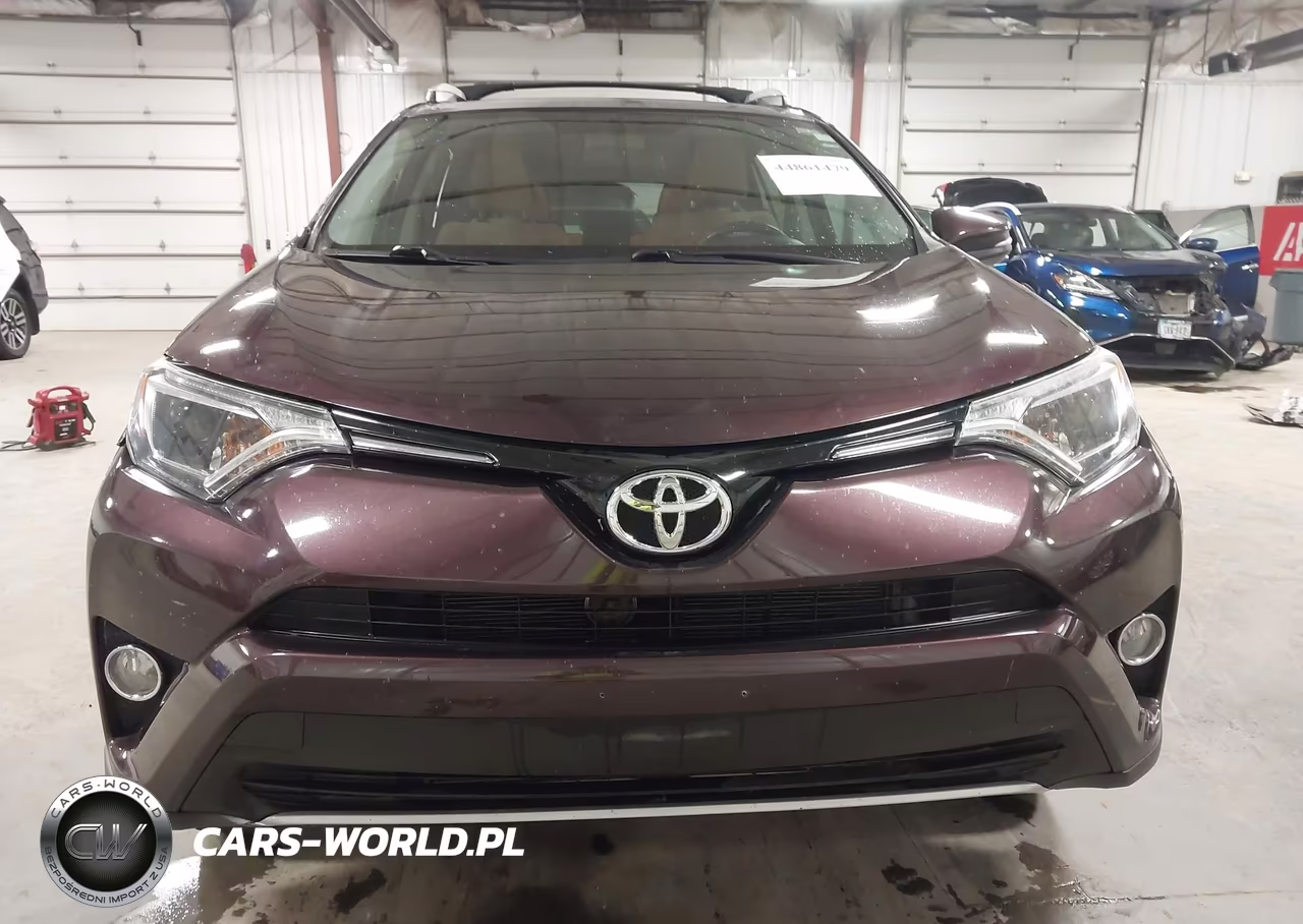 2016 Toyota Rav4 Xle VIN:2T3WFREV0GW290991 - 13