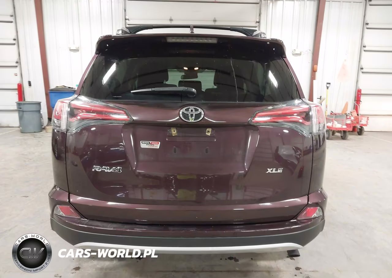 2016 Toyota Rav4 Xle VIN:2T3WFREV0GW290991 - 17