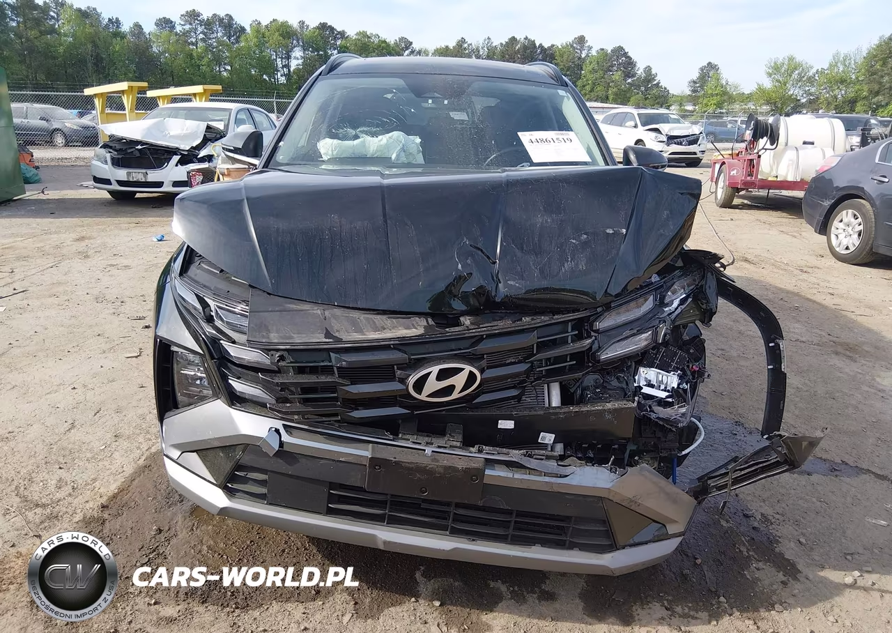 2025 Hyundai Tucson Sel Convenience VIN:3KMJCCDE8SE007031 - 12