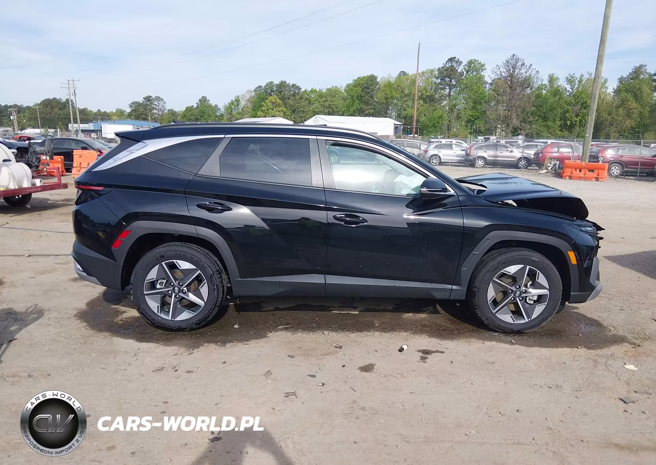 2025 Hyundai Tucson Sel Convenience VIN:3KMJCCDE8SE007031 - 13