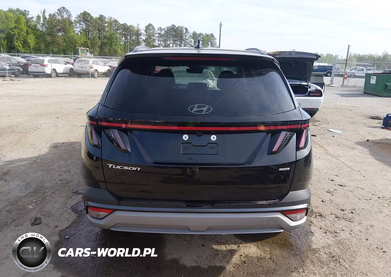 2025 Hyundai Tucson Sel Convenience VIN:3KMJCCDE8SE007031 - 16