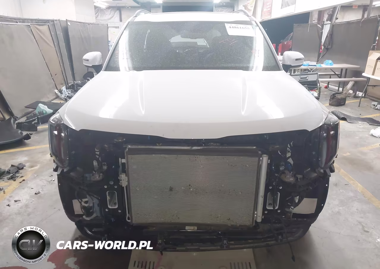 2025 Kia Telluride Ex X-Pro VIN:5XYP3DGC1SG635576 - 13