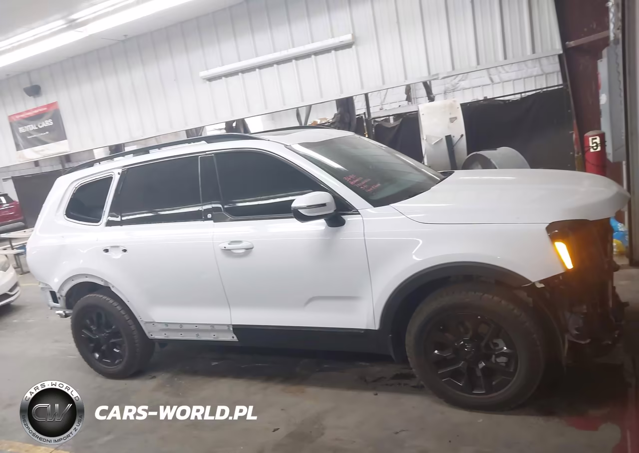2025 Kia Telluride Ex X-Pro VIN:5XYP3DGC1SG635576 - 14