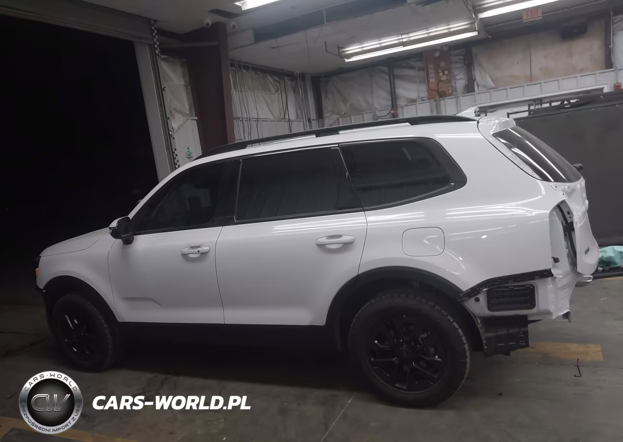 2025 Kia Telluride Ex X-Pro VIN:5XYP3DGC1SG635576 - 15