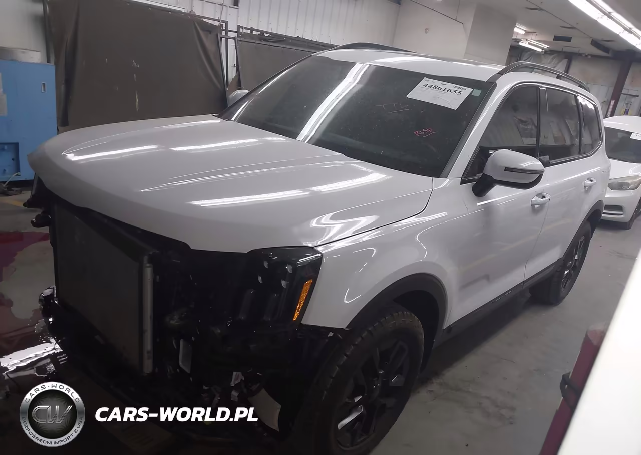 2025 Kia Telluride Ex X-Pro VIN:5XYP3DGC1SG635576 - 2