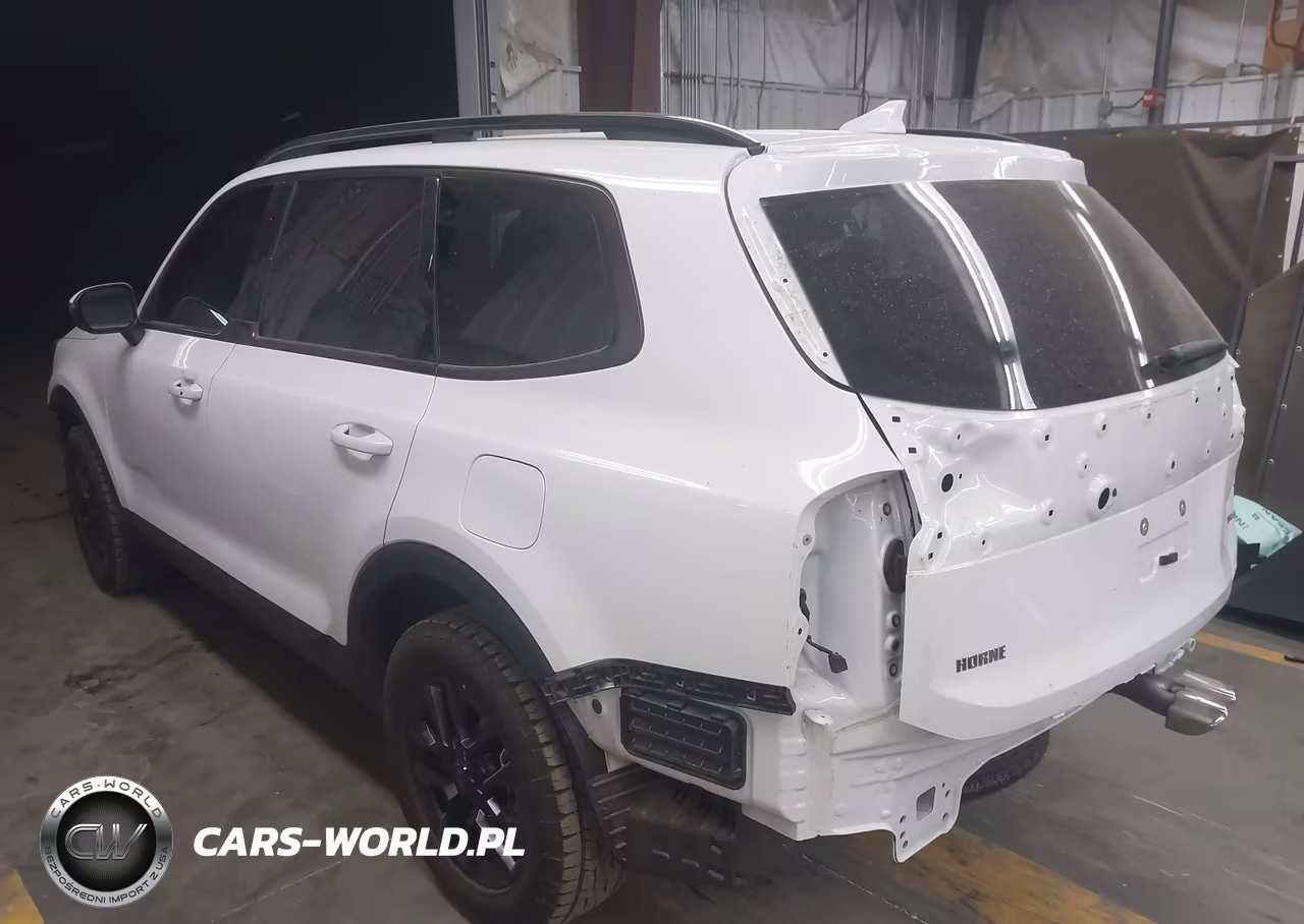 2025 Kia Telluride Ex X-Pro VIN:5XYP3DGC1SG635576 - 3