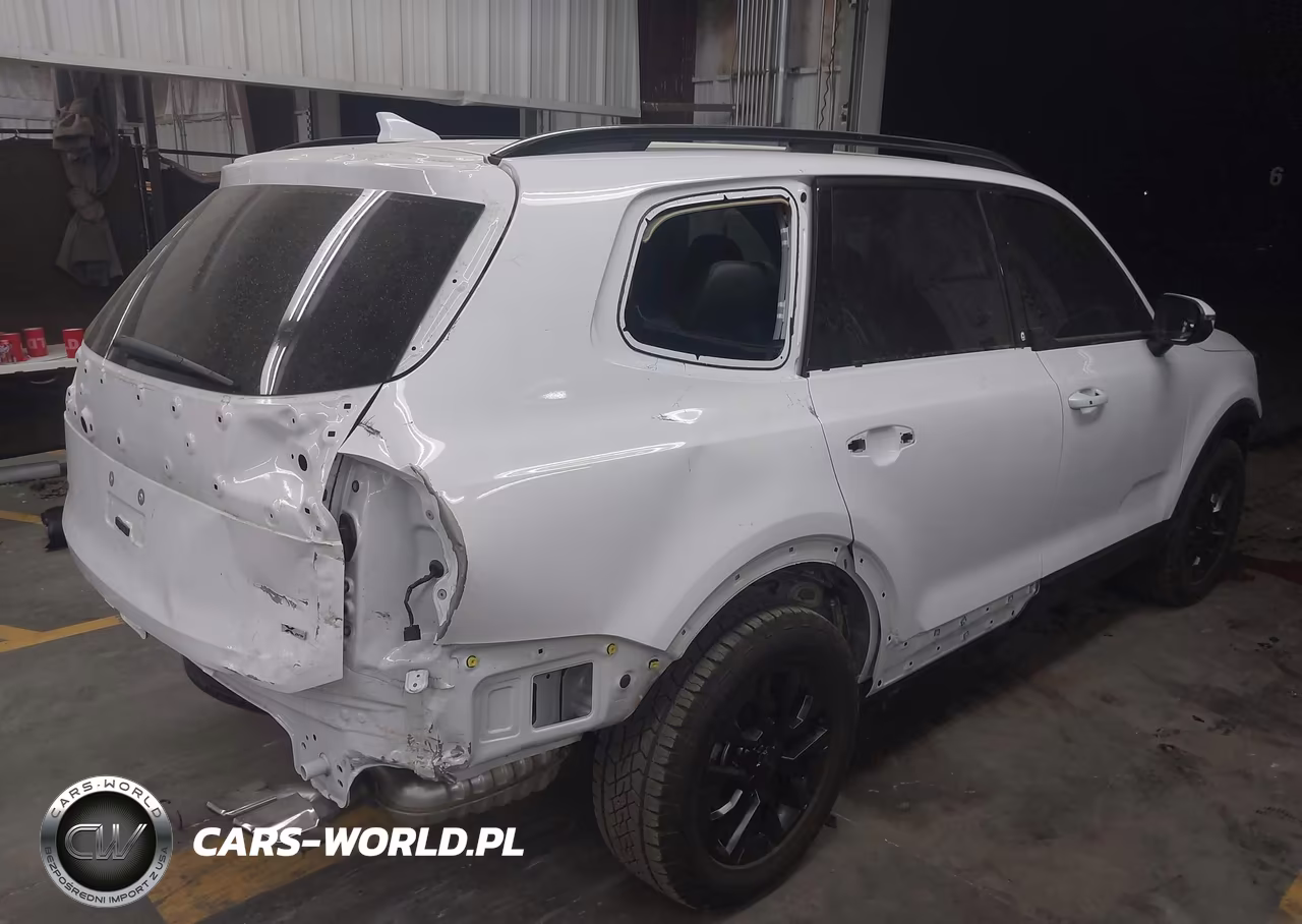 2025 Kia Telluride Ex X-Pro VIN:5XYP3DGC1SG635576 - 4