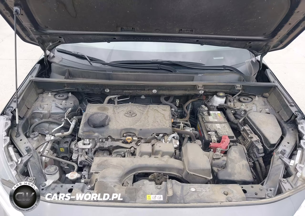 2023 Toyota Rav4 Xle VIN:2T3W1RFV2PC249535 - 10