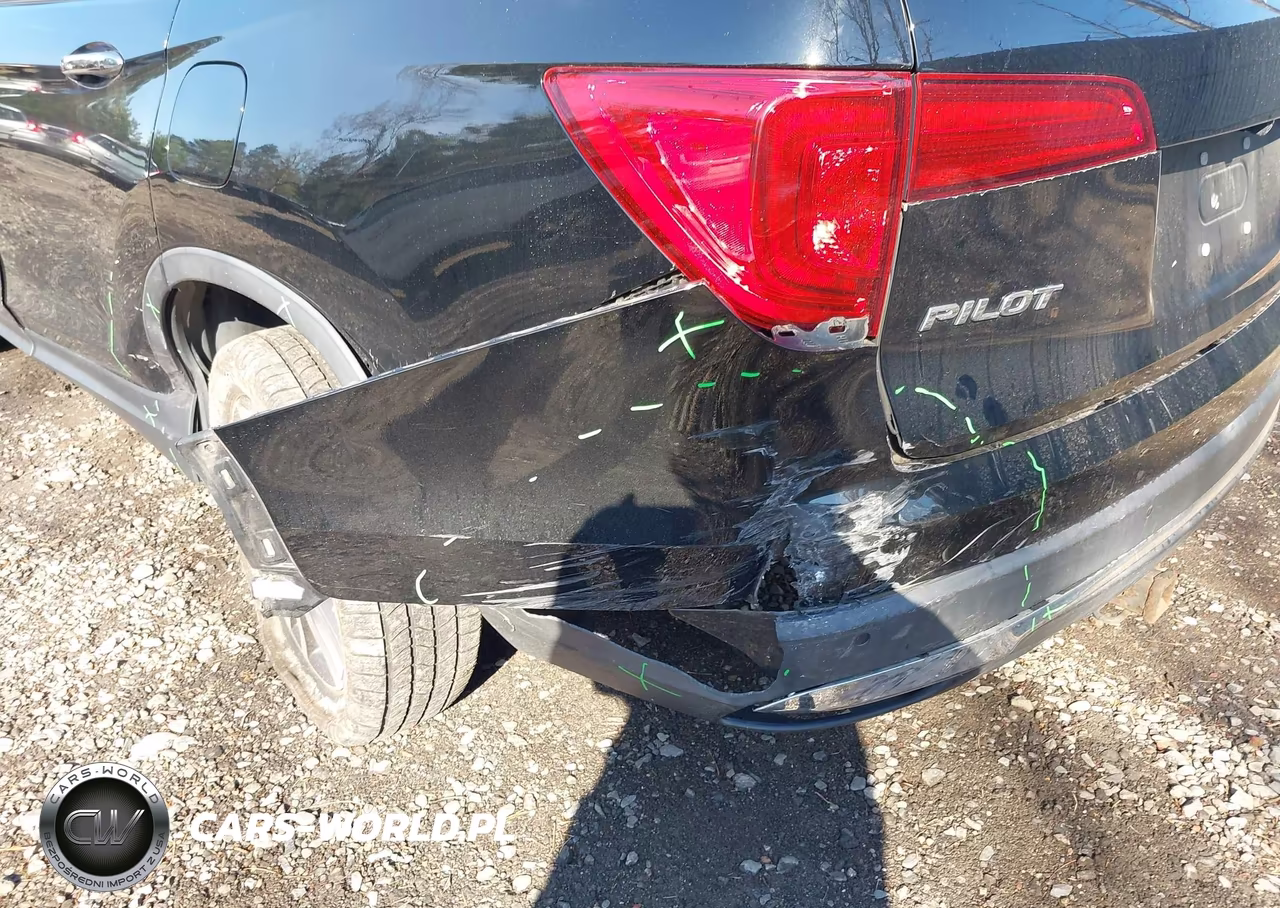2017 Honda Pilot Elite VIN:5FNYF6H07HB007999 - 17