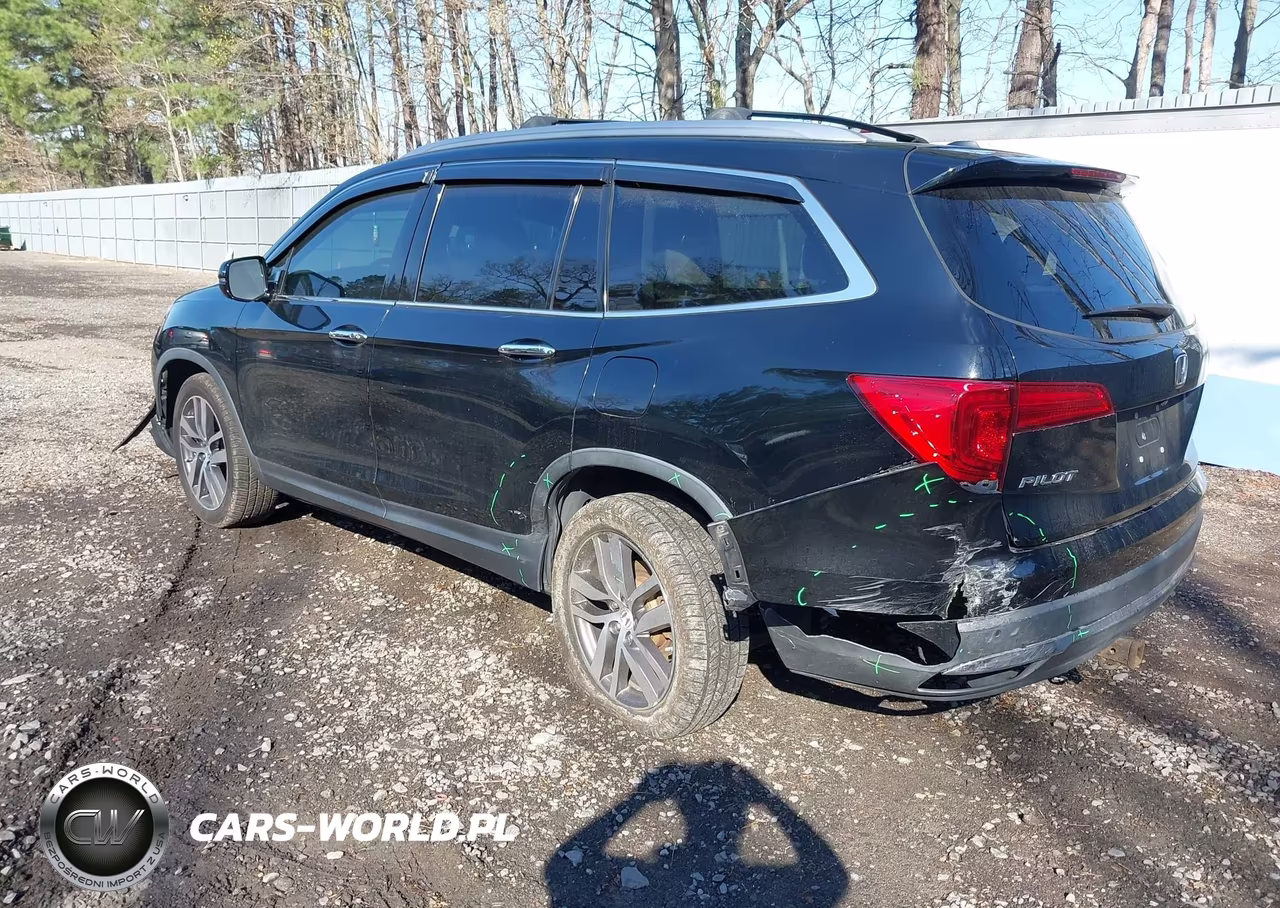 2017 Honda Pilot Elite VIN:5FNYF6H07HB007999 - 3