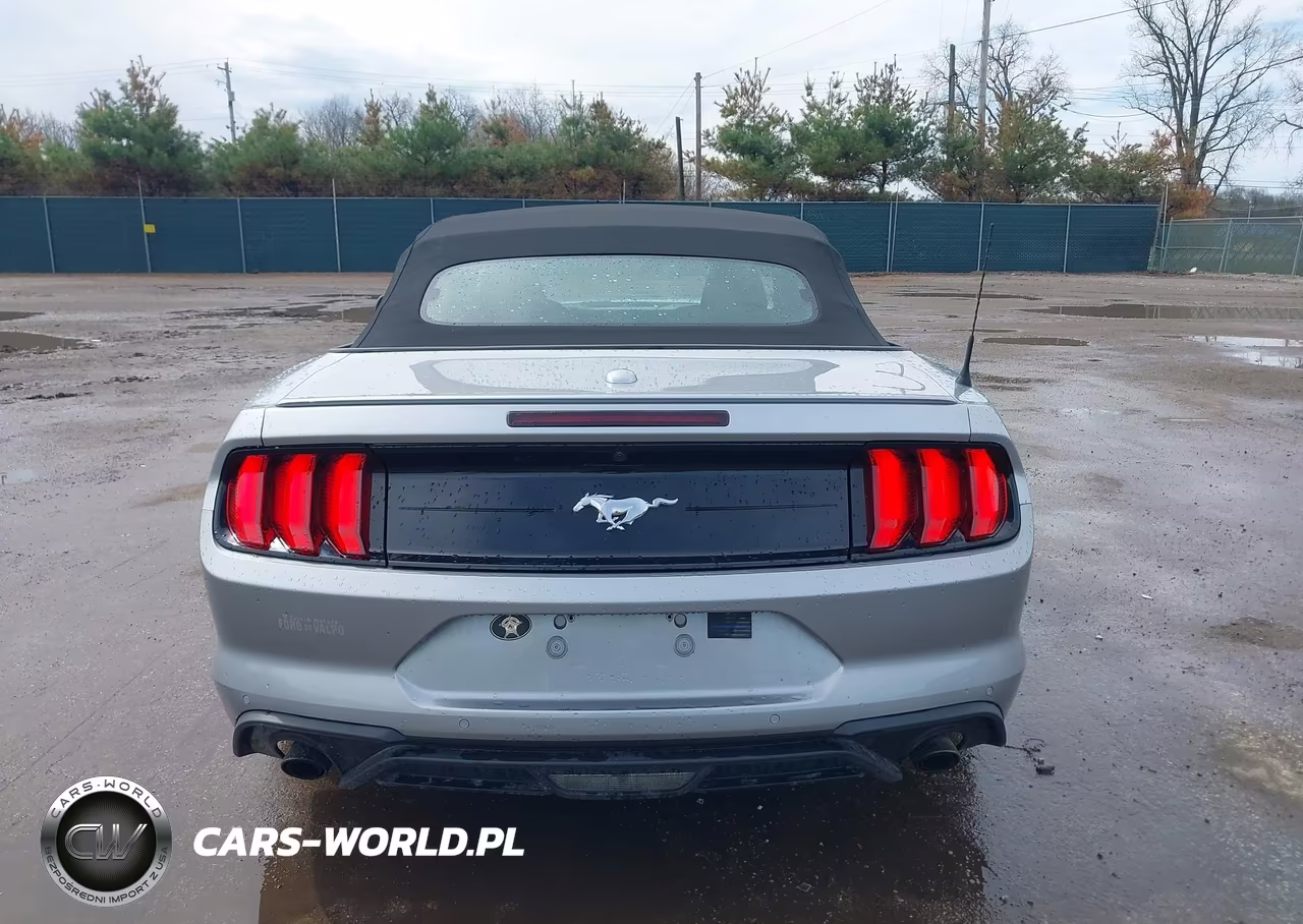 2020 Ford Mustang Ecoboost VIN:1FATP8UH4L5158684 - 17