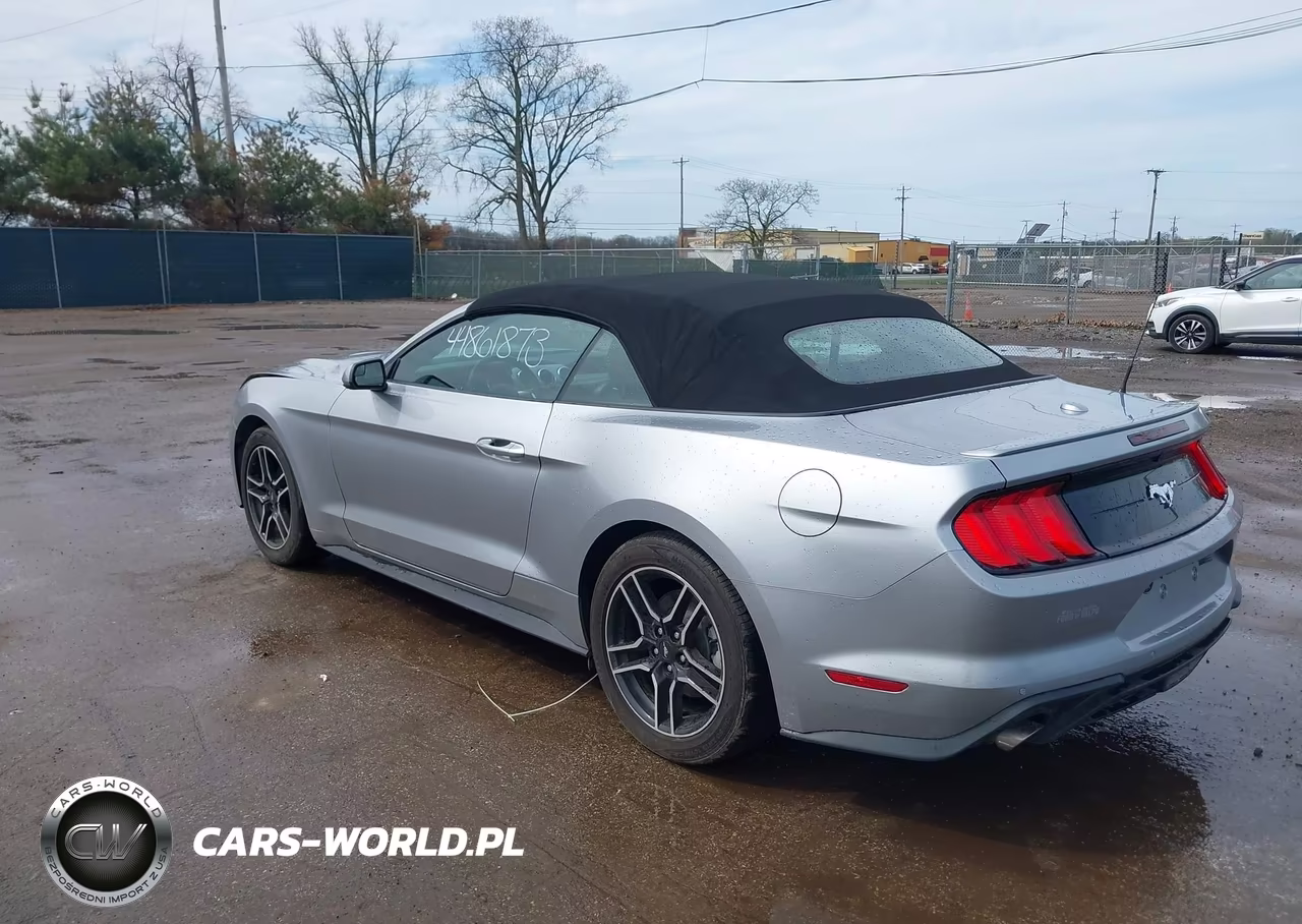 2020 Ford Mustang Ecoboost VIN:1FATP8UH4L5158684 - 3