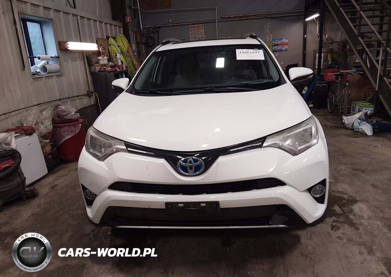2016 Toyota Rav4 Hybrid Xle VIN:JTMRJREV4GD020042 - 12