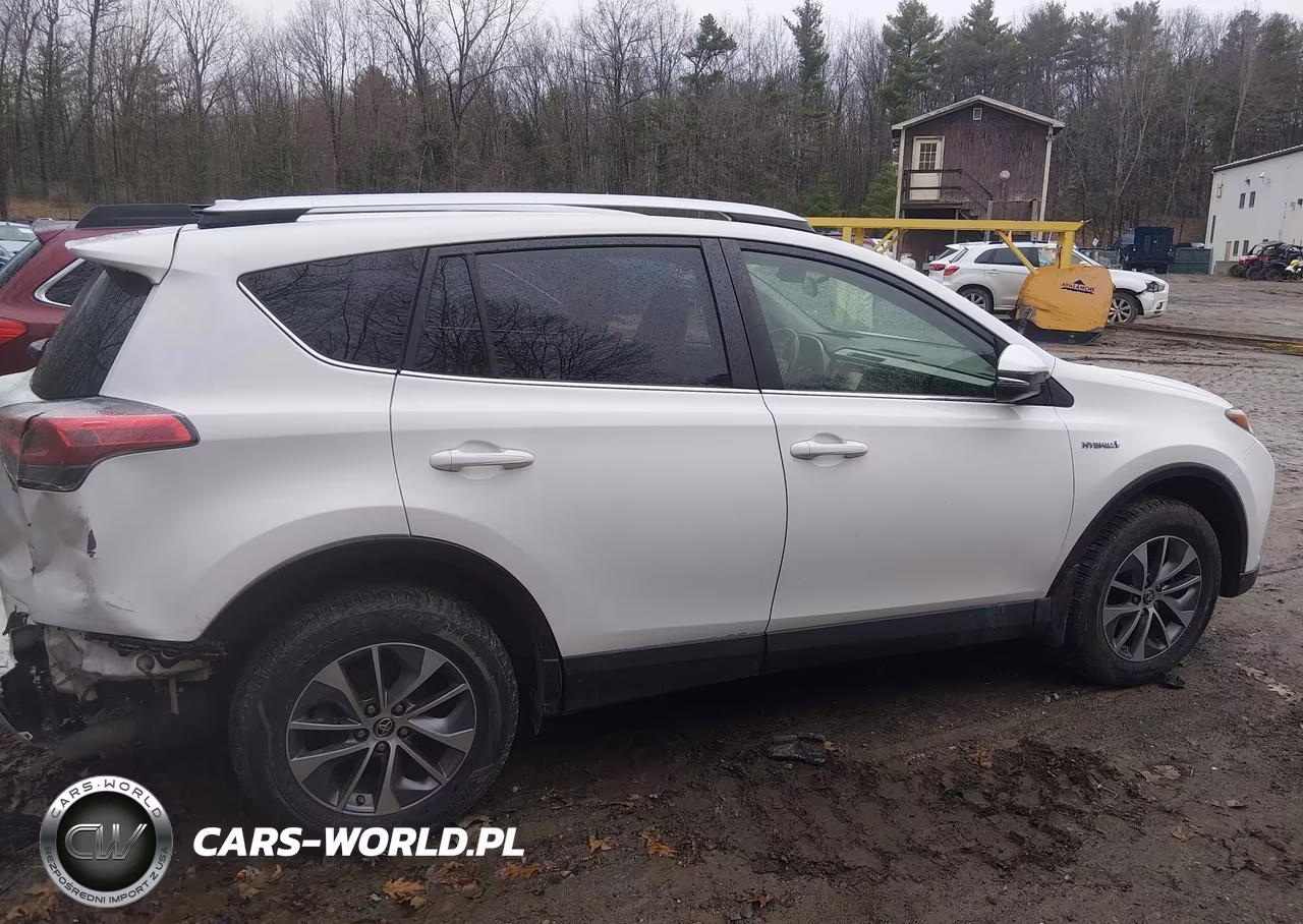 2016 Toyota Rav4 Hybrid Xle VIN:JTMRJREV4GD020042 - 13