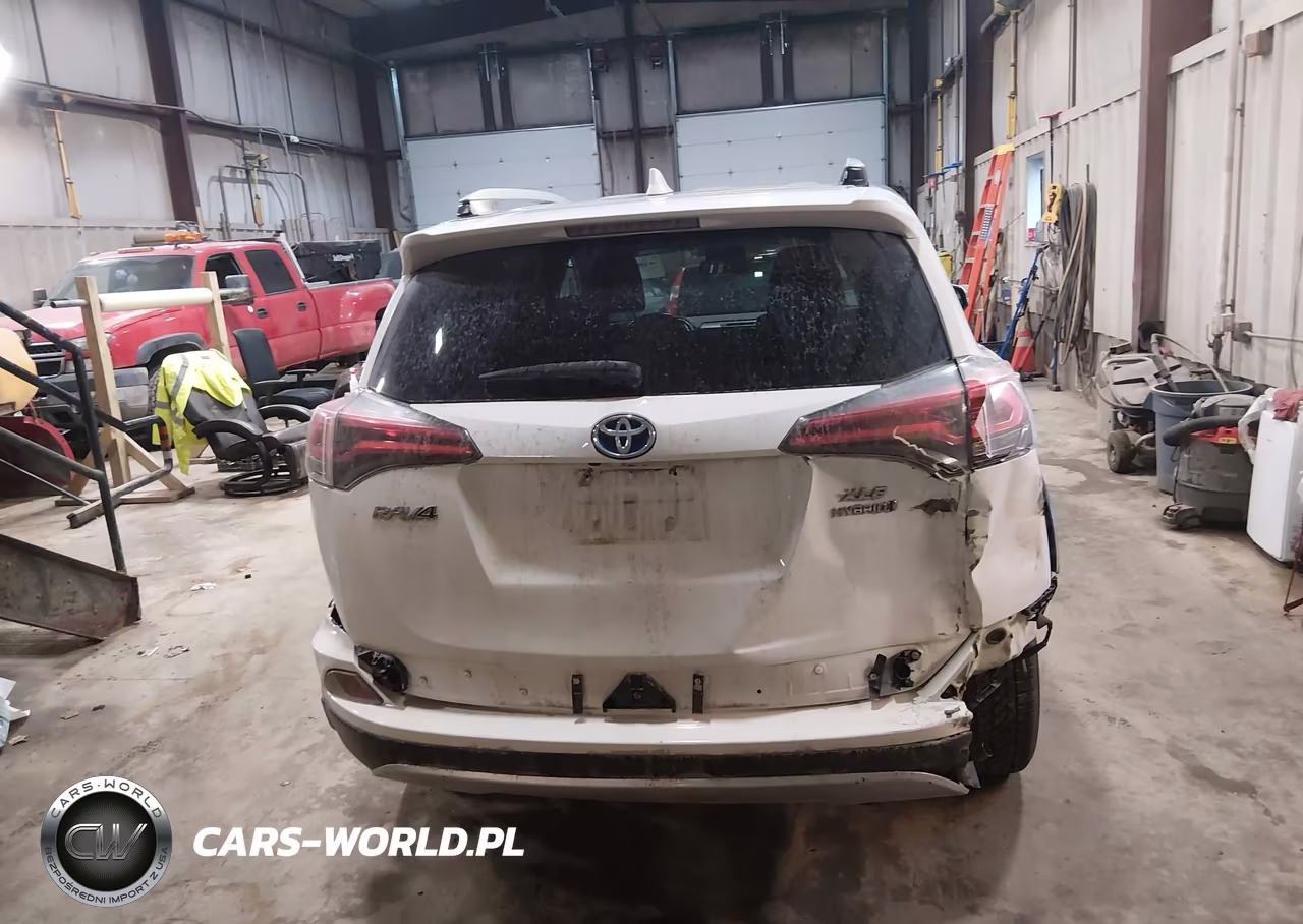2016 Toyota Rav4 Hybrid Xle VIN:JTMRJREV4GD020042 - 16