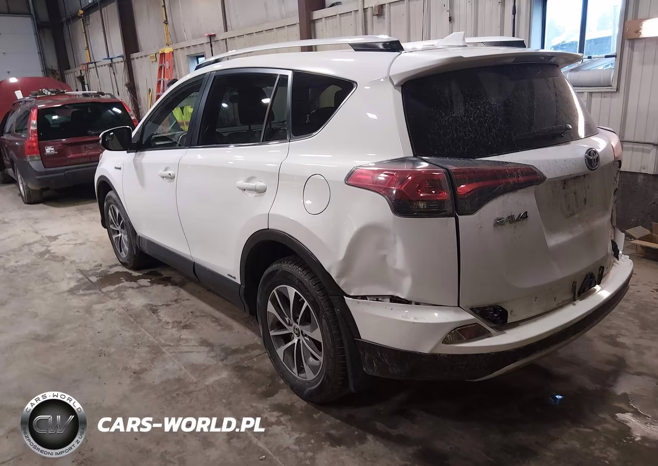 2016 Toyota Rav4 Hybrid Xle VIN:JTMRJREV4GD020042 - 3