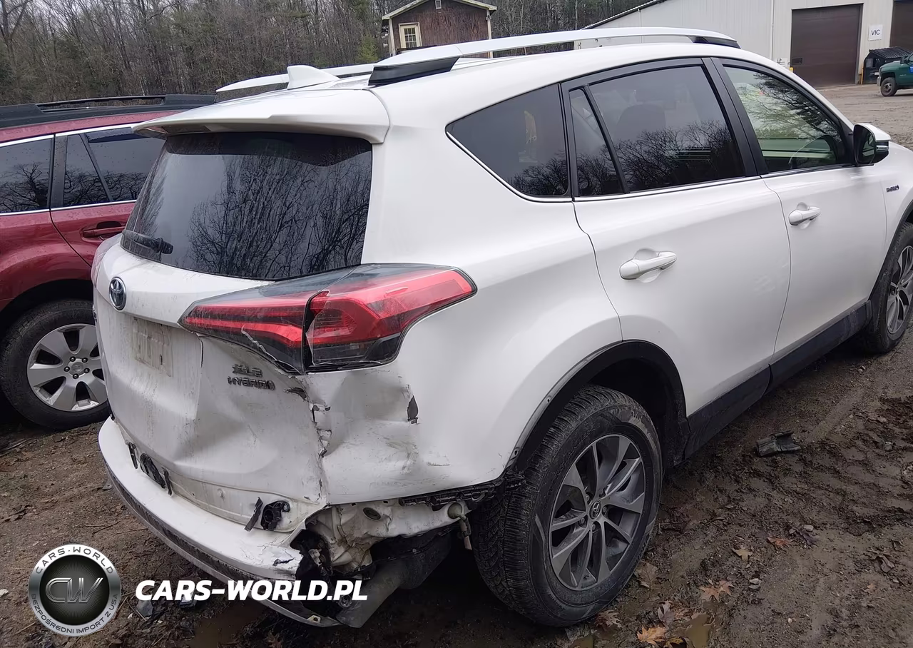 2016 Toyota Rav4 Hybrid Xle VIN:JTMRJREV4GD020042 - 6