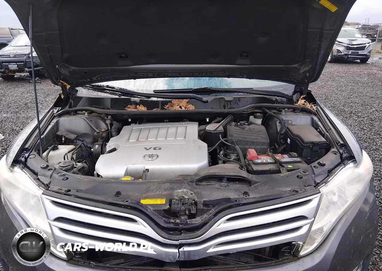 2011 Toyota Venza Base V6 VIN:4T3BK3BB9BU052003 - 10