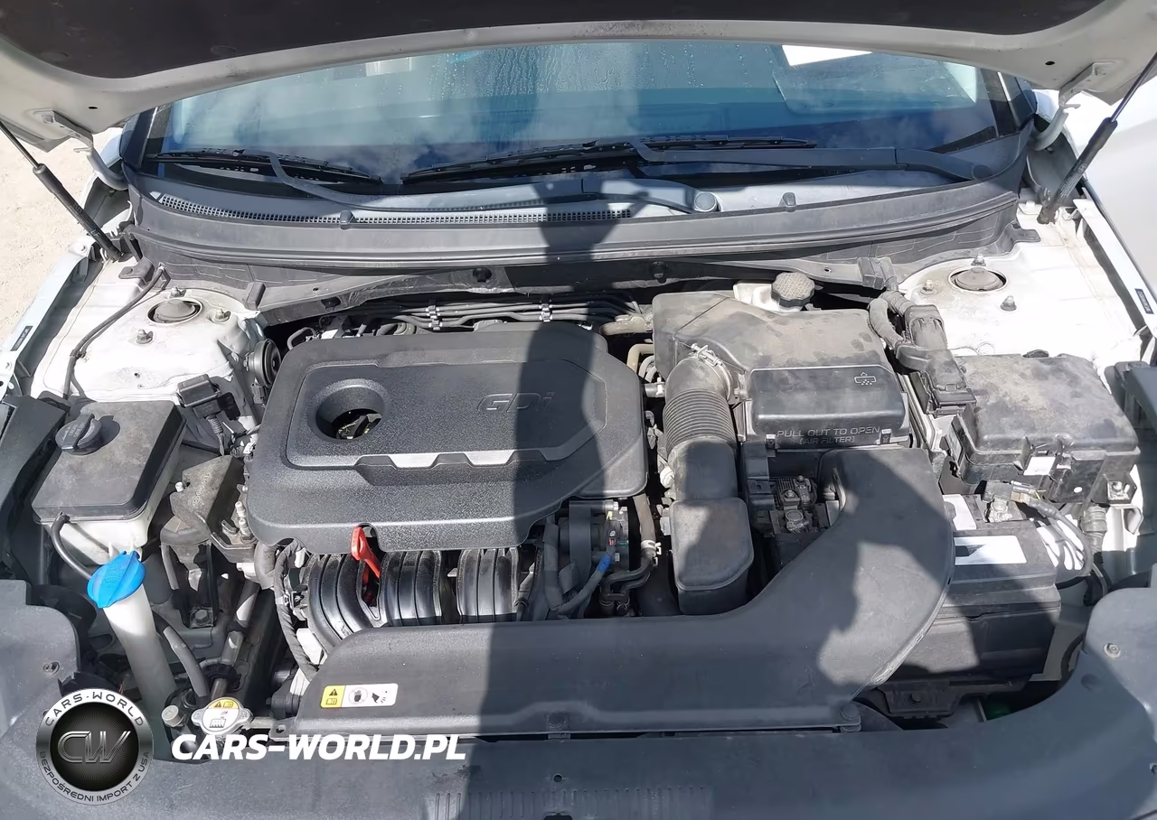 2017 Hyundai Sonata Sport VIN:5NPE34AF4HH592573 - 10