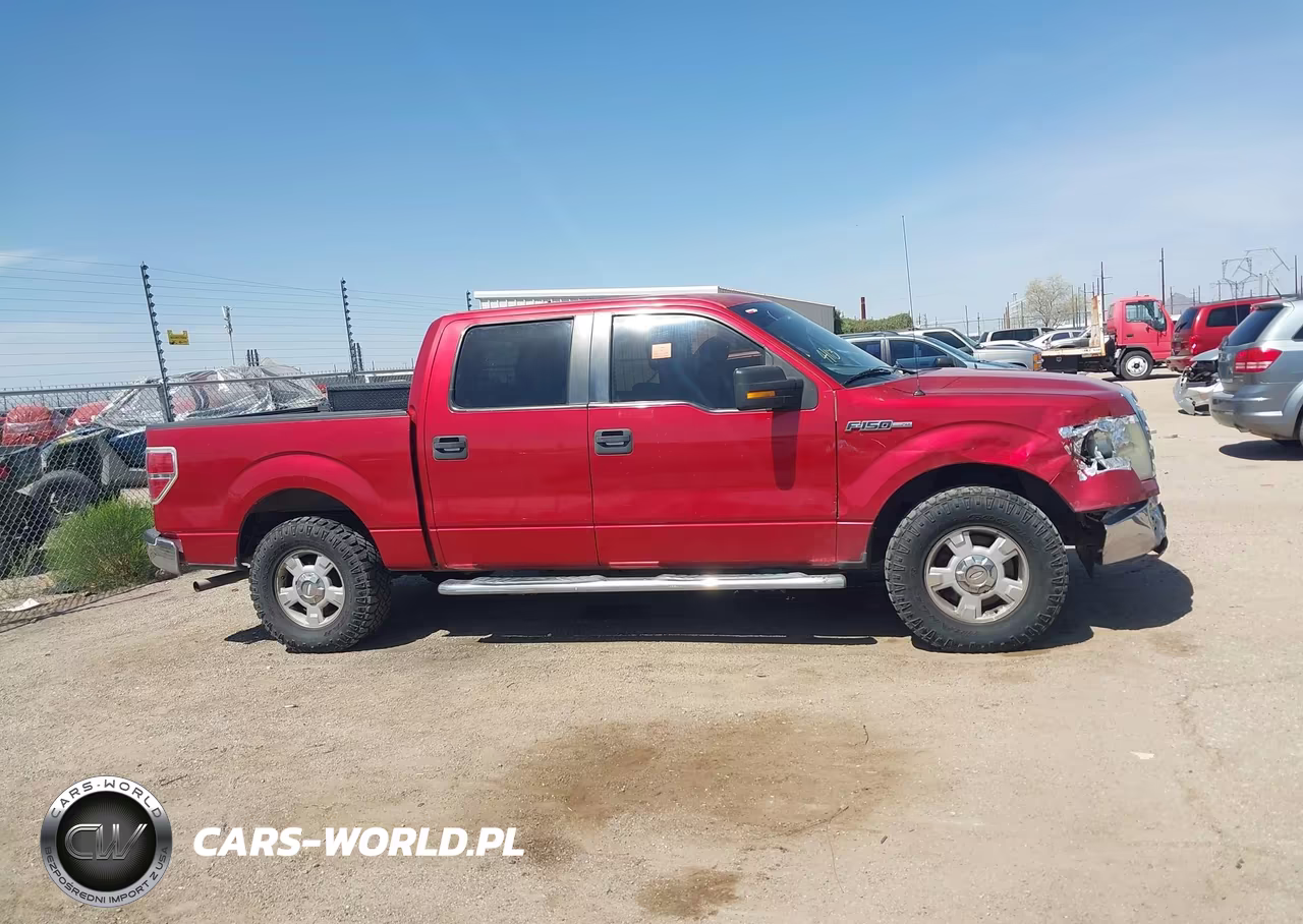2010 Ford F-150 Xlt VIN:1FTEW1C83AFB74249 - 13