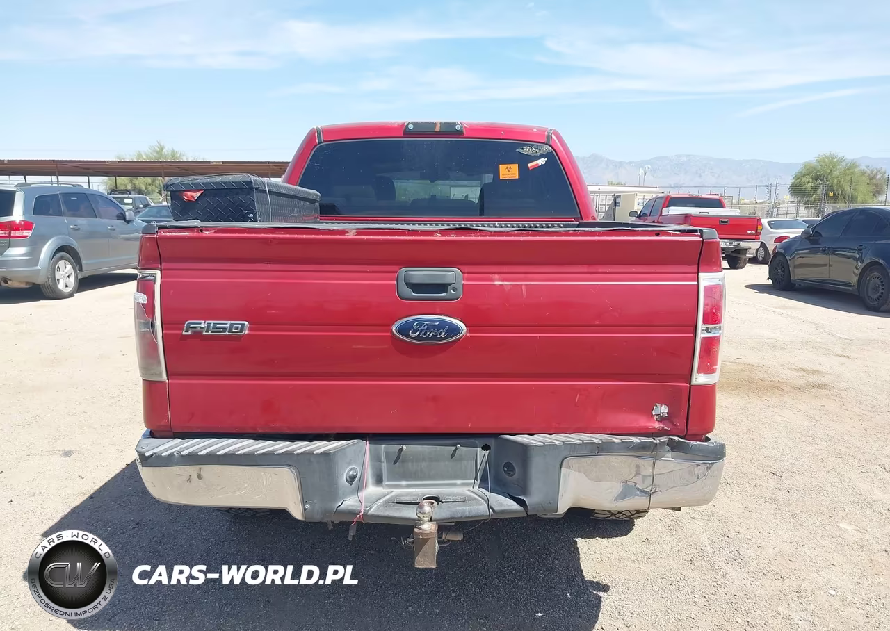 2010 Ford F-150 Xlt VIN:1FTEW1C83AFB74249 - 16