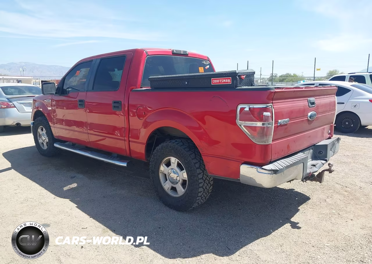 2010 Ford F-150 Xlt VIN:1FTEW1C83AFB74249 - 3