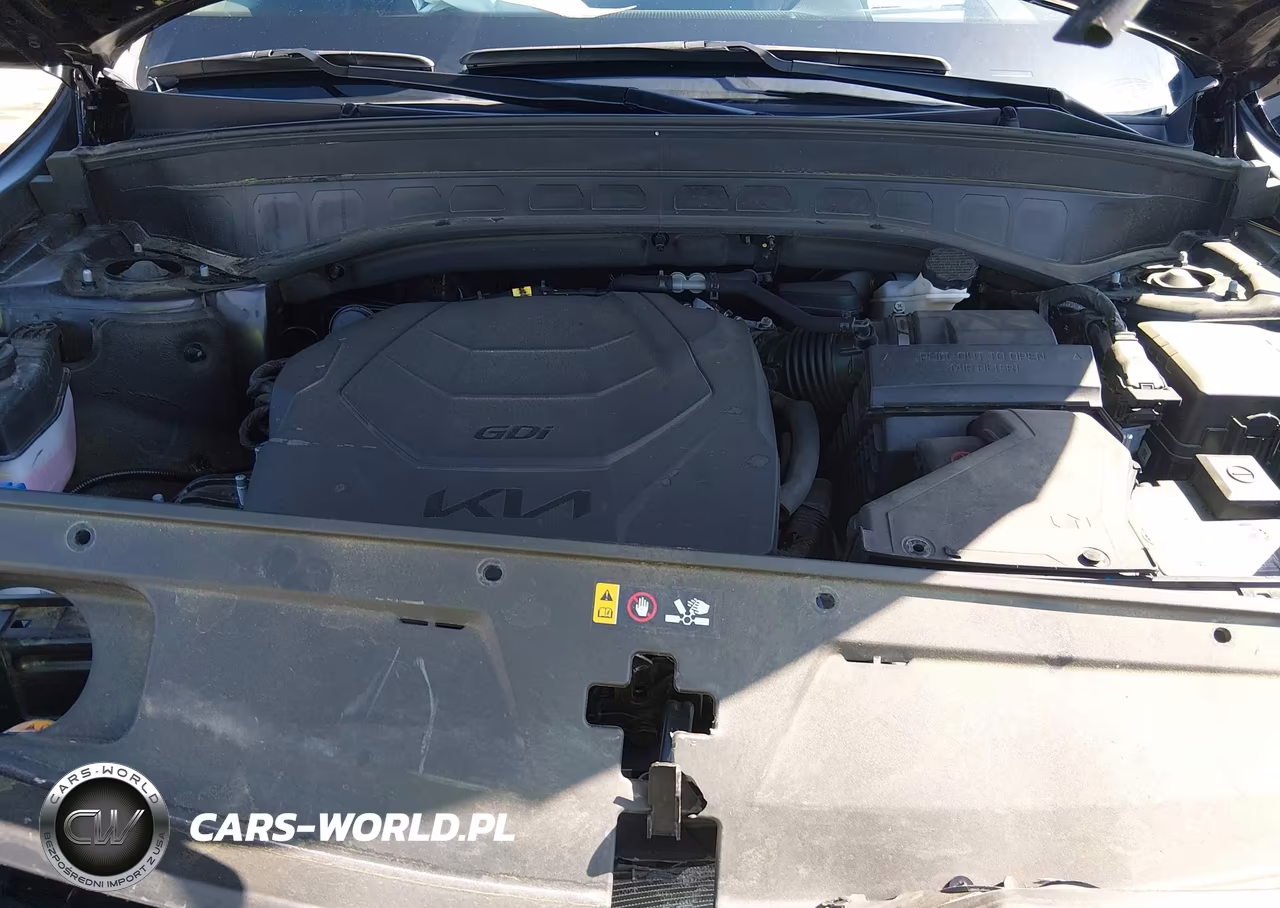 2022 Kia Telluride Sx VIN:5XYP5DHC1NG226815 - 10