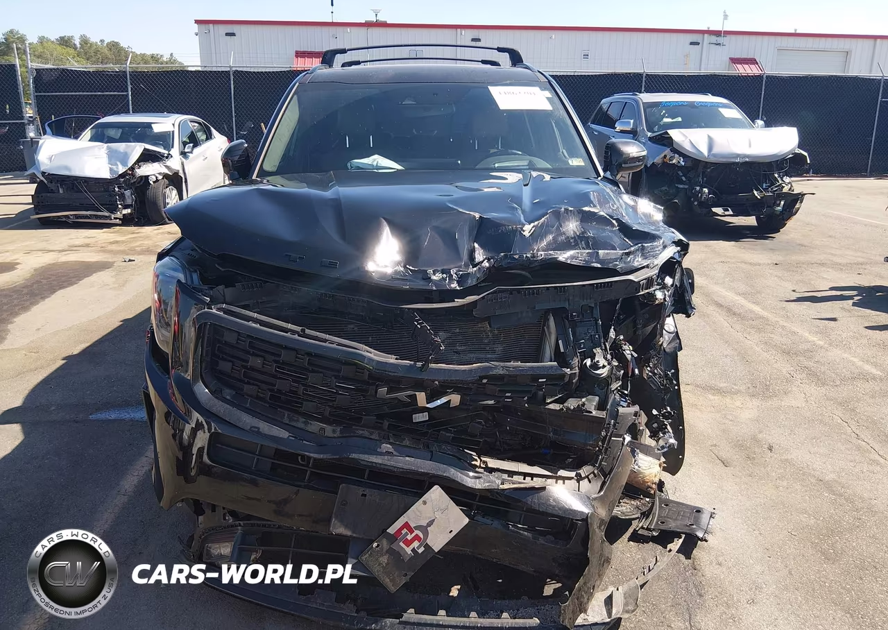 2022 Kia Telluride Sx VIN:5XYP5DHC1NG226815 - 12