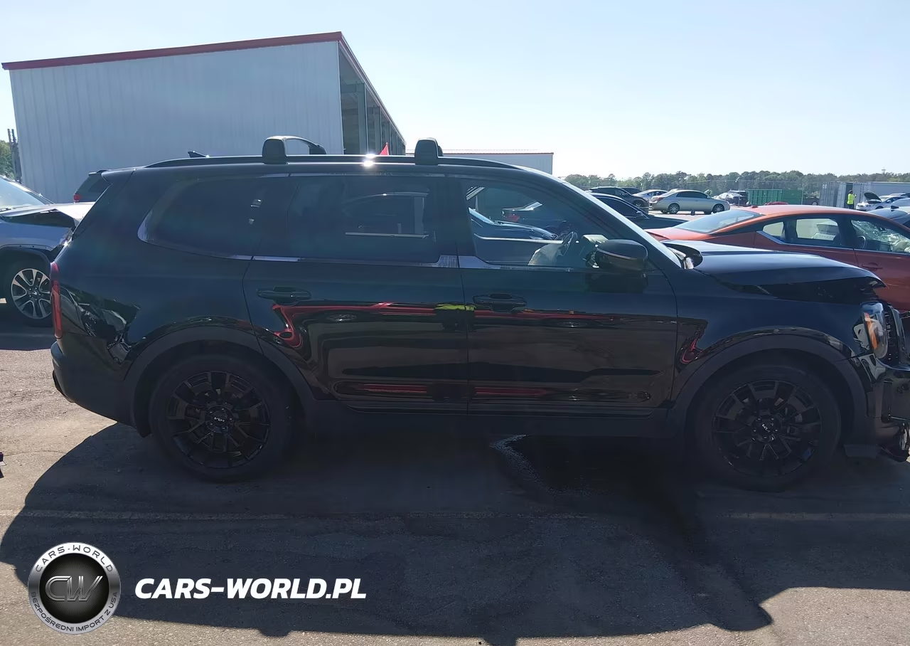 2022 Kia Telluride Sx VIN:5XYP5DHC1NG226815 - 13