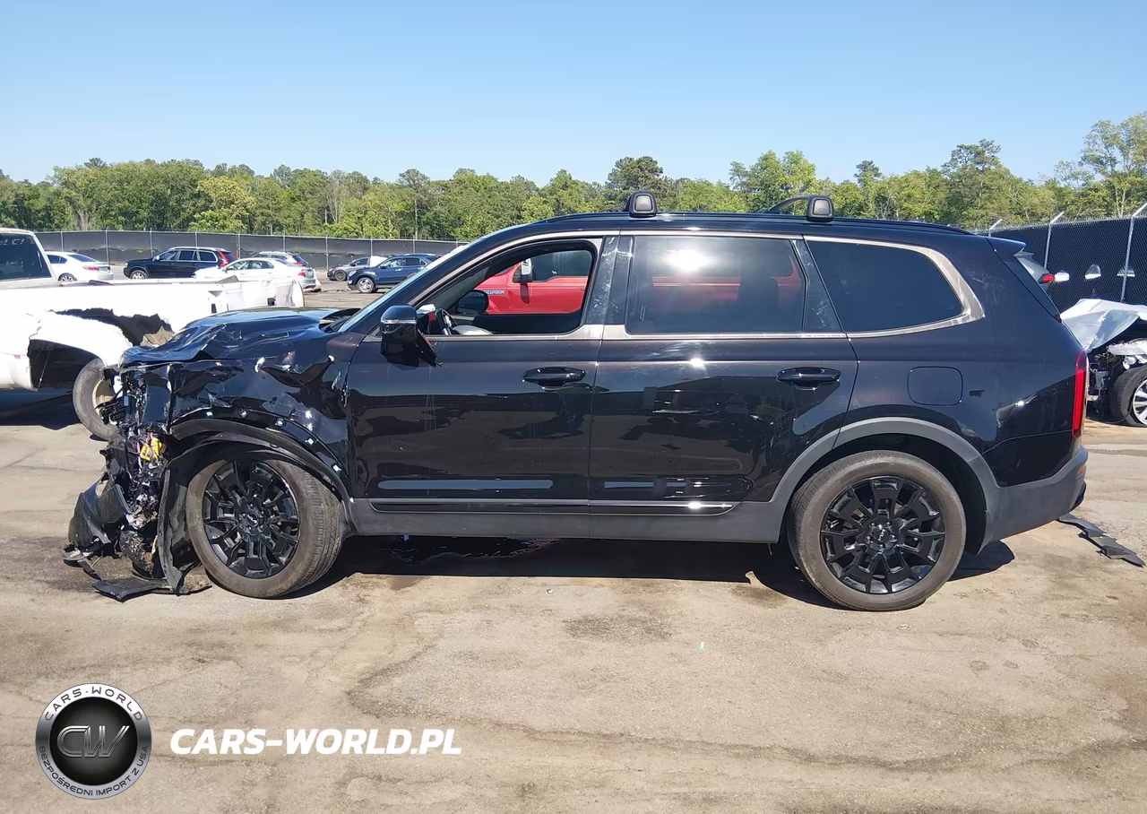 2022 Kia Telluride Sx VIN:5XYP5DHC1NG226815 - 14
