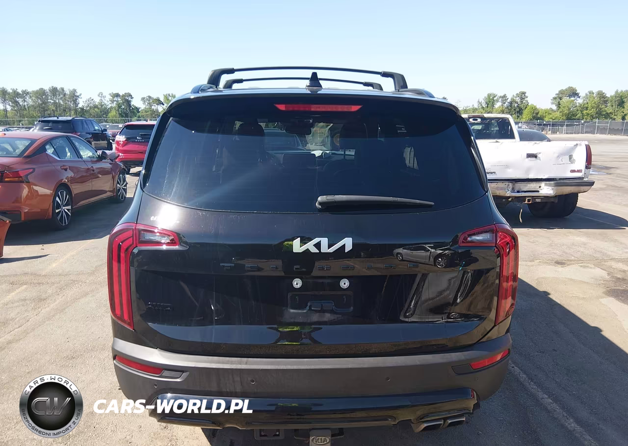 2022 Kia Telluride Sx VIN:5XYP5DHC1NG226815 - 16