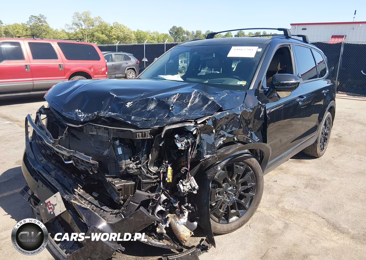 2022 Kia Telluride Sx VIN:5XYP5DHC1NG226815 - 2