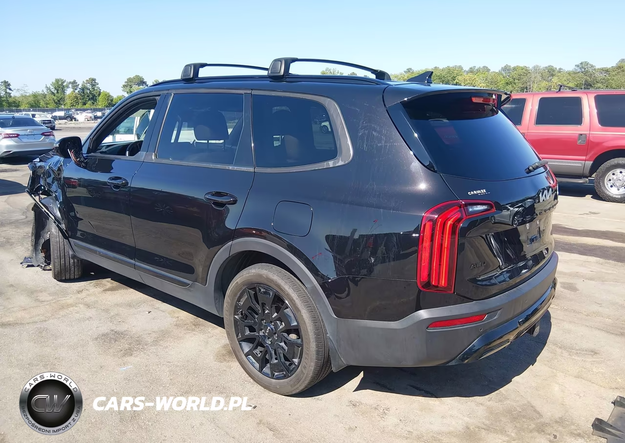 2022 Kia Telluride Sx VIN:5XYP5DHC1NG226815 - 3