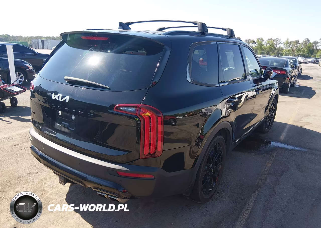 2022 Kia Telluride Sx VIN:5XYP5DHC1NG226815 - 4