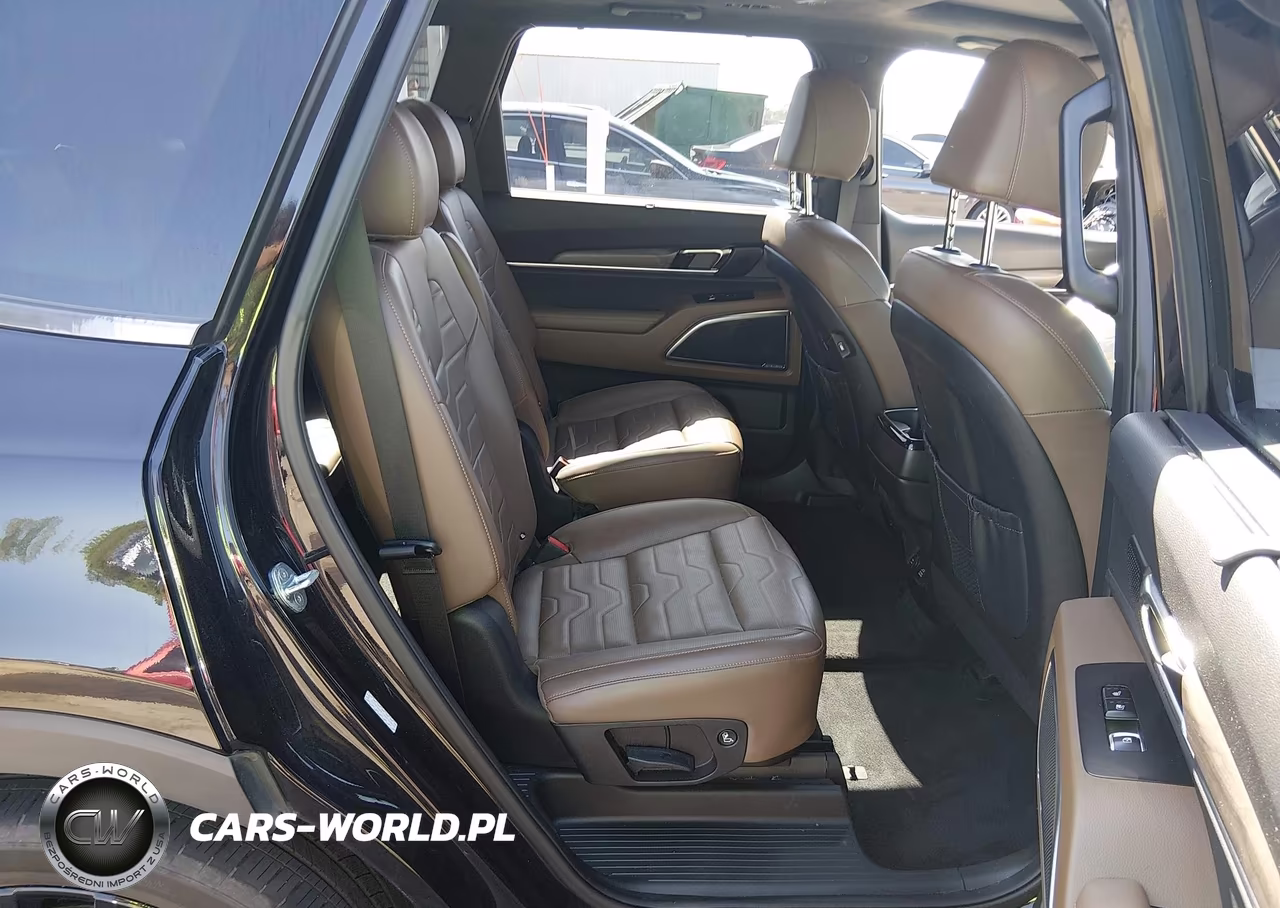 2022 Kia Telluride Sx VIN:5XYP5DHC1NG226815 - 8